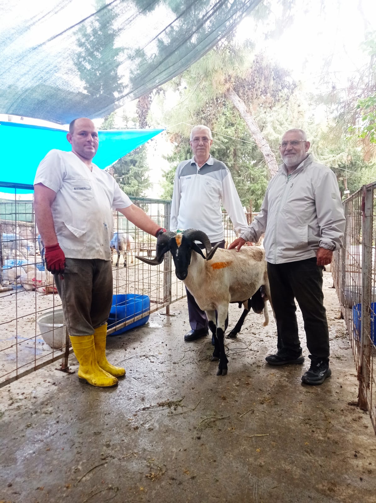 Kurbanlıklarımız Geldi, Bağışçılarımızı Bekliyoruz